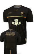 1916 Claddagh